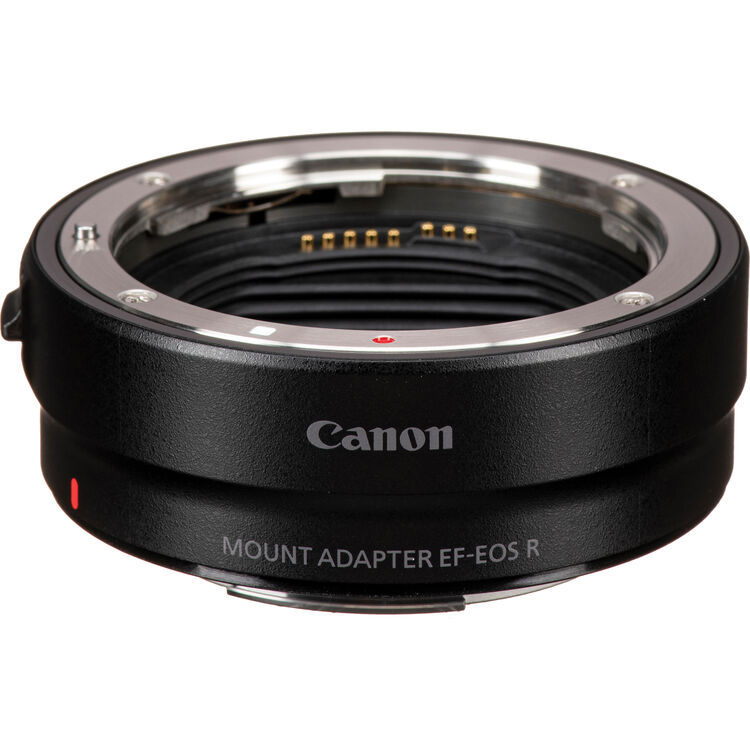 هيكل Canon EOS R6 III (مع محول)